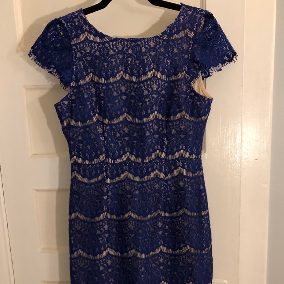 Blue Eyelash Lace Dress - Picture 5 of 8